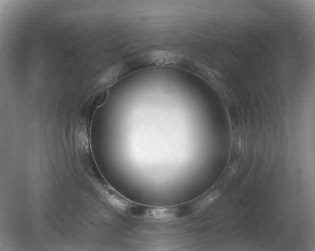 X0000078890622200611201438