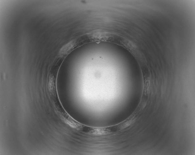 X0000078890623200611201438