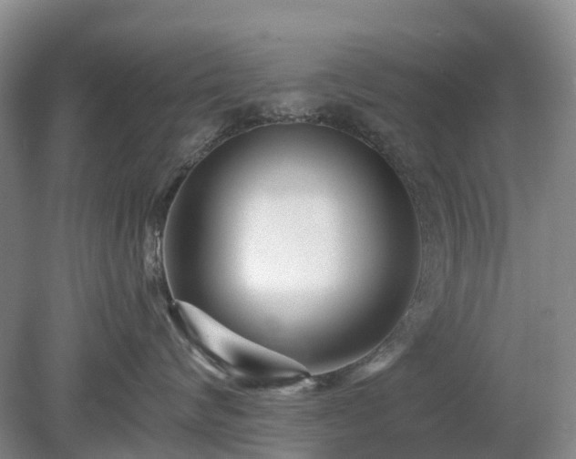 X0000078890624200611201438