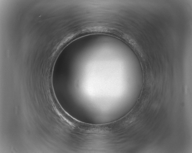 X0000078890625200611201437