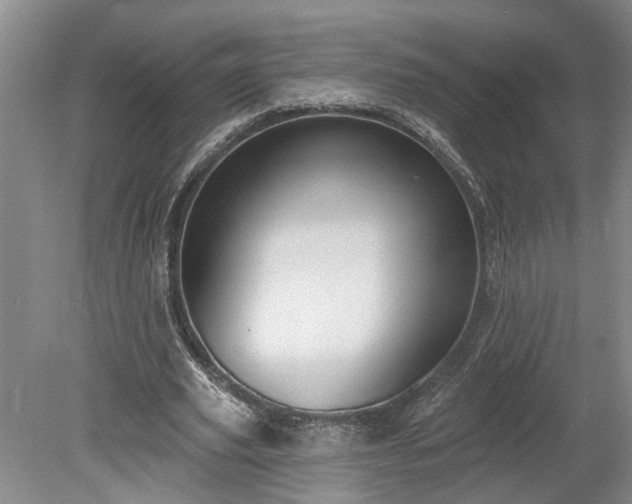 X0000078890629200611201437