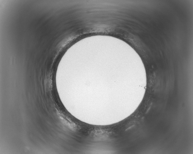 X0000078890632200611201437