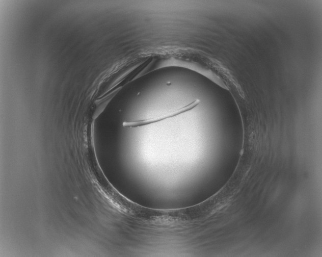 X0000078890633200611201437