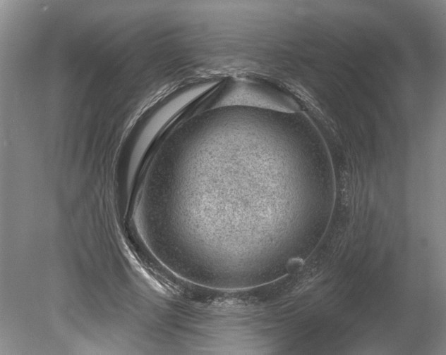 X0000078890634200611201437