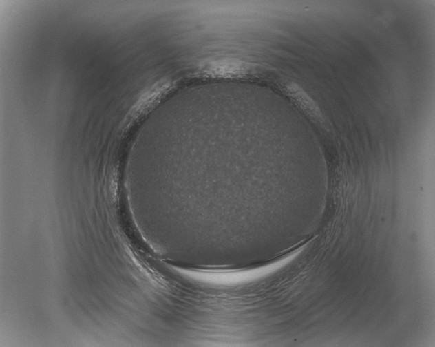 X0000078890640200611201437