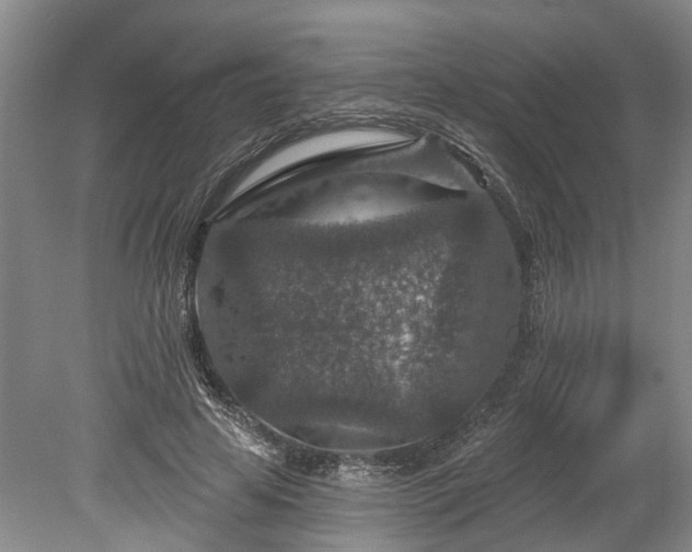 X0000078890641200611201438