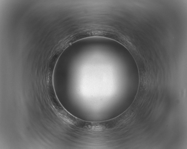 X0000078890645200611201438