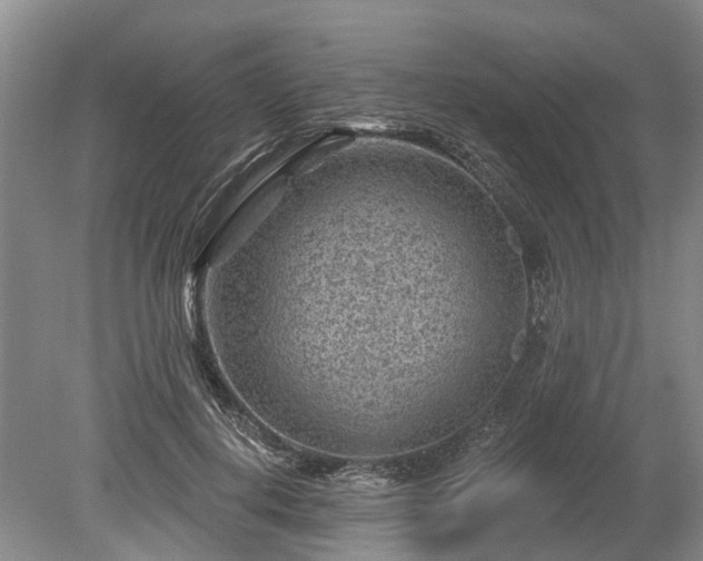 X0000078890648200611201438