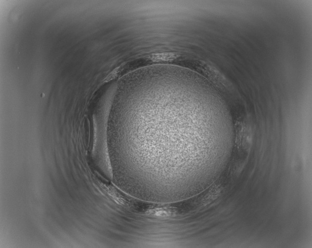 X0000078890655200611201438