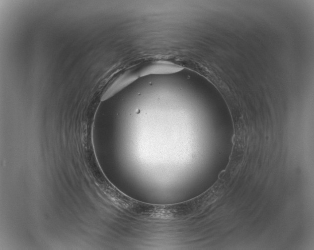 X0000078890656200611201438