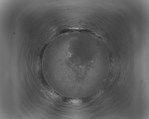 X0000078890659200611201438