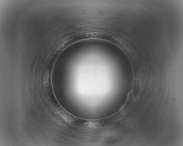 X0000078890660200611201438