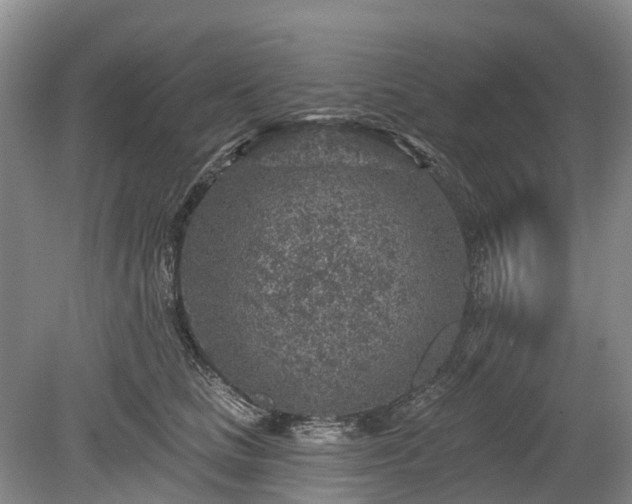 X0000078890661200611201438