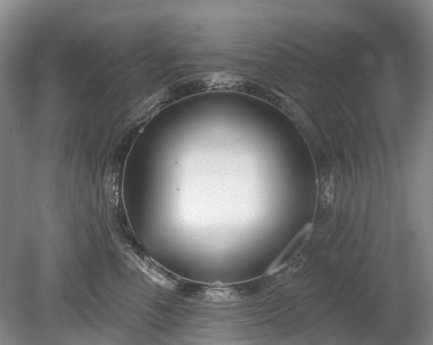 X0000078890666200611201438