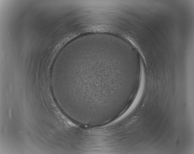 X0000078890673200611201437