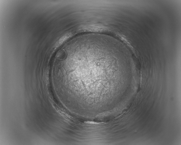 X0000078890679200611201437