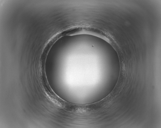 X0000078890684200611201437