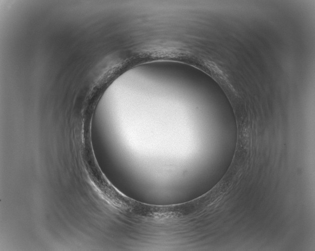 X0000078890686200611201437