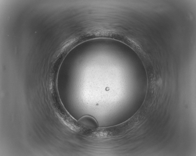 X0000078890687200611201437