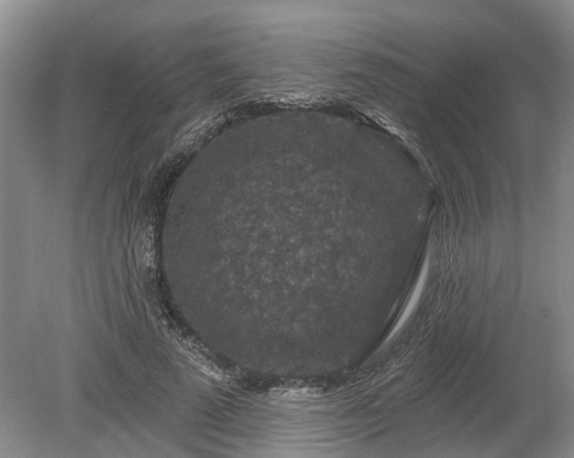 X0000078890689200611201437