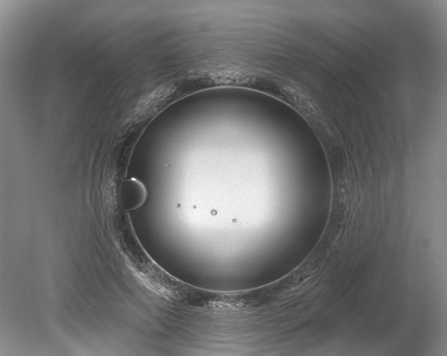 X0000078890690200611201437