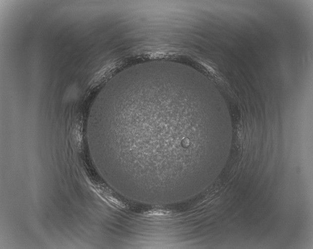 X0000078890691200611201437