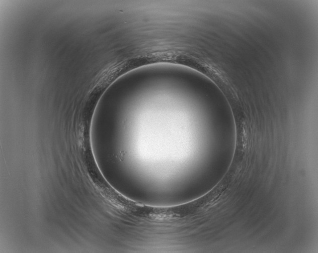 X0000078890693200611201437