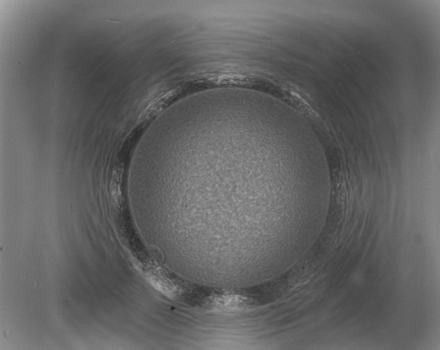 X0000078890695200611201437