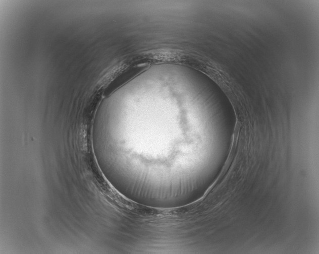 X0000078890696200611201437