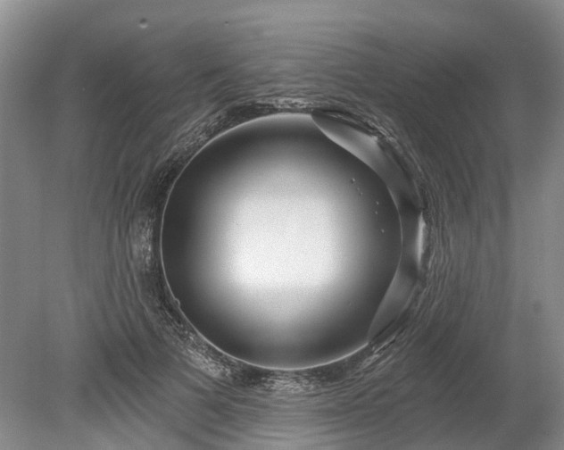 X0000078890697200611201437