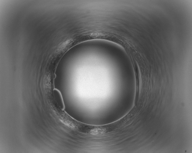 X0000078890700200611201437