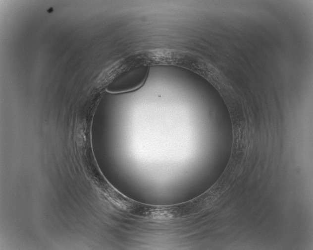 X0000078890702200611201437