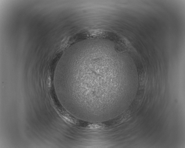 X0000078890703200611201437