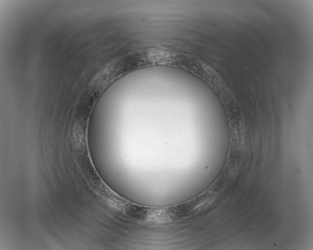 X0000078890705200611201437