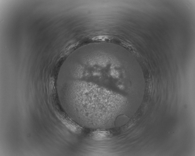 X0000078890711200611201437