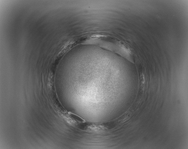 X0000078890712200611201437