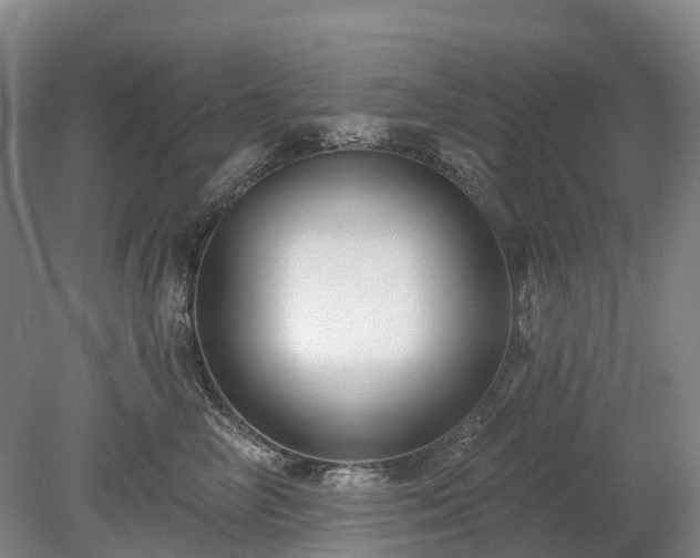 X0000078890714200611201437