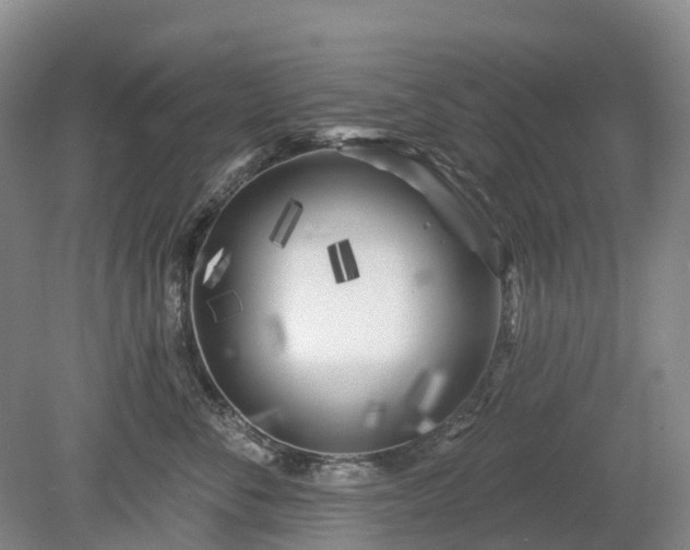 X0000078890716200611201437