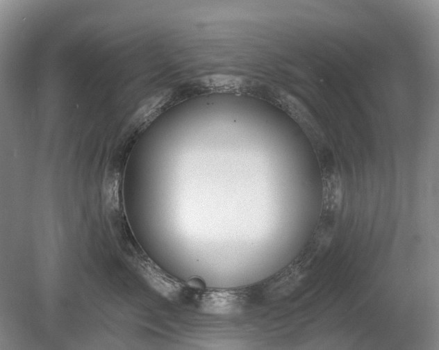 X0000078890717200611201436