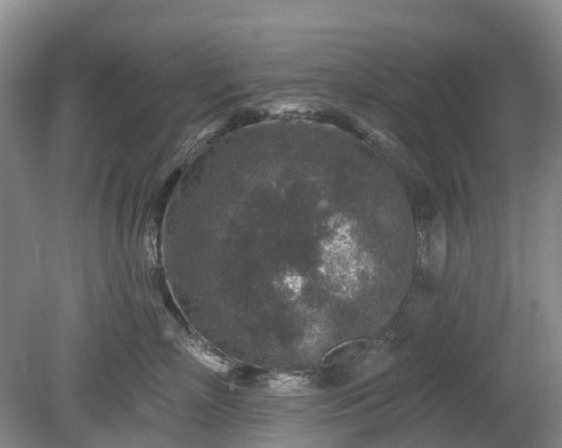 X0000078890718200611201436