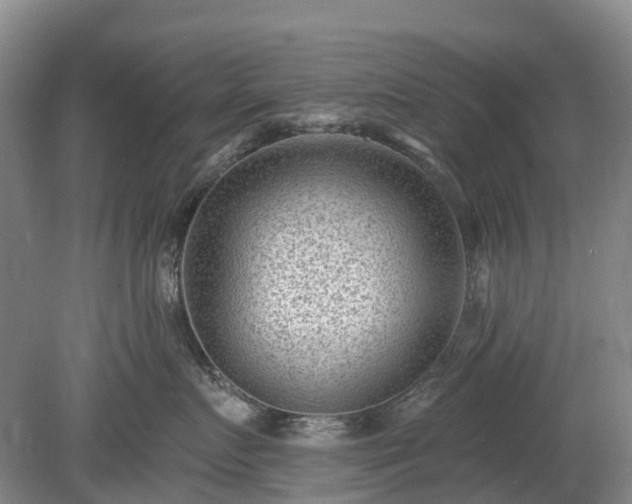 X0000078890719200611201436