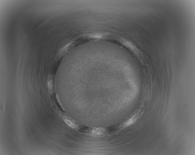 X0000078890720200611201436