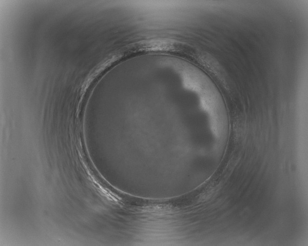 X0000078890721200611201436