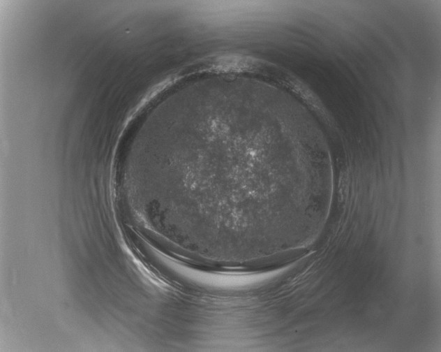 X0000078890722200611201436