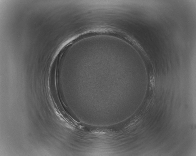 X0000078890724200611201436