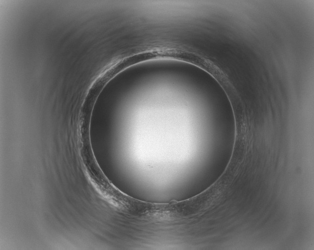 X0000078890730200611201436