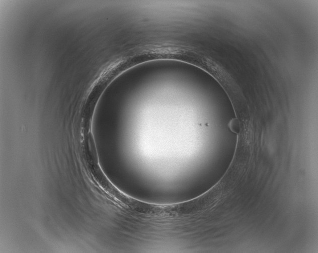 X0000078890731200611201436