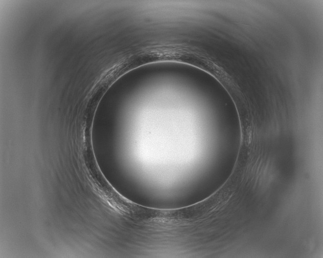 X0000078890733200611201436