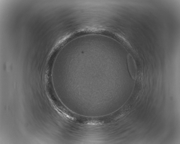 X0000078890736200611201436