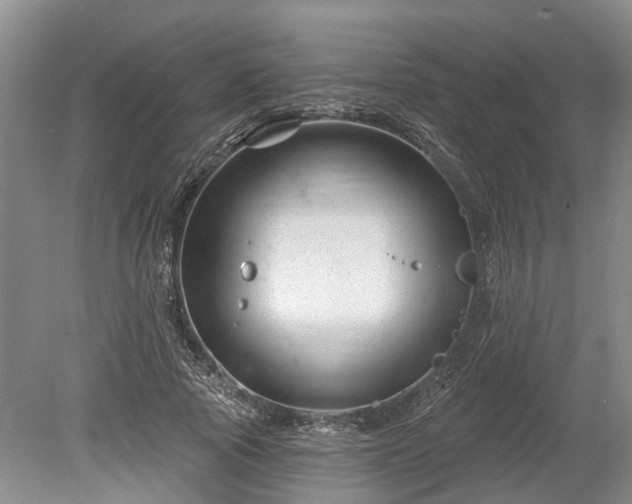 X0000078890737200611201436